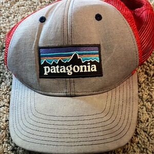 Patagonia Gray and Blue Logo Cap
